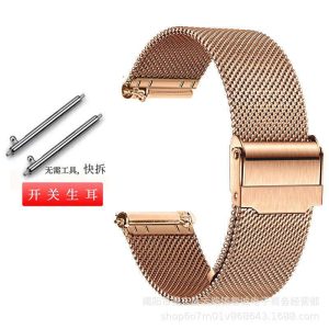 Mesh Double Buckle Stainless Steel Strap 20mm/22mm